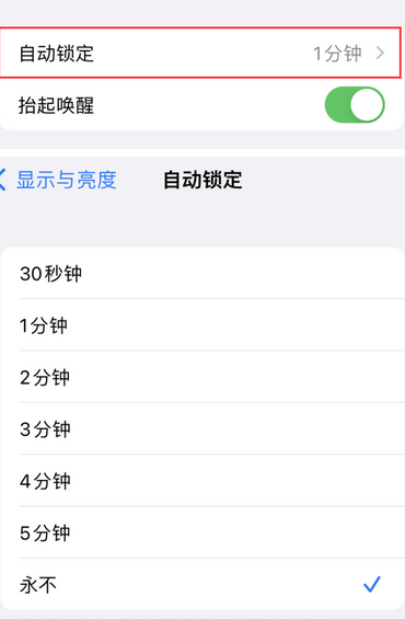 阜阳苹果换屏维修分享无法调整iPhone自动锁屏的时间怎么办