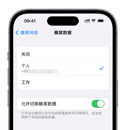 阜阳苹果维修服务分享如何在iPhone上使用双卡 